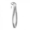 Tooth Extracting Forceps